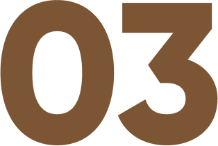 03